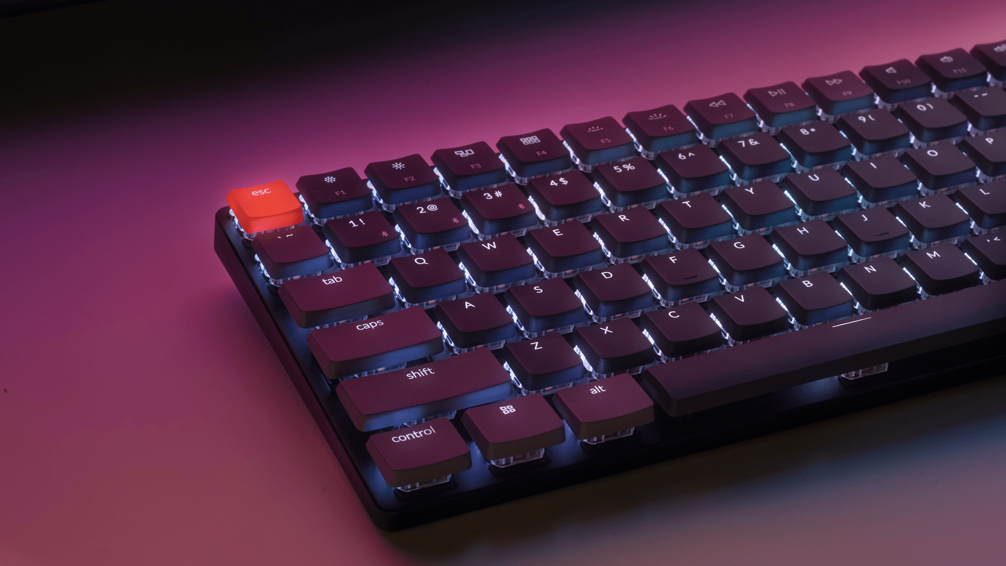 Escsoft home page banner